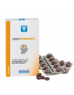 NUTERGIA ERGYFOSFORYL  60 CAP