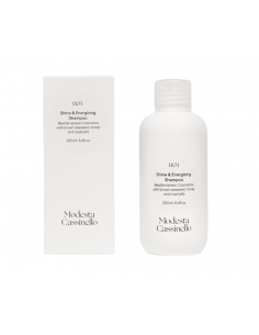 MODESTA CASSINELLO H03...