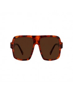 GAFAS DE SOL FOTOCROMÁTICAS... 2